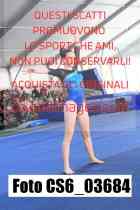 CS6_03684