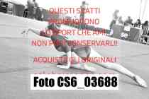 CS6_03688