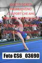 CS6_03690