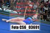 CS6_03691