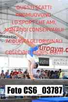 CS6_03787