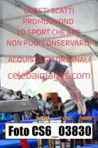 CS6_03830
