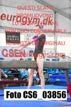 CS6_03856