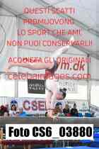 CS6_03880