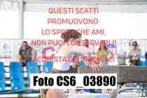 CS6_03890