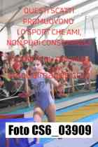 CS6_03909