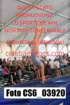 CS6_03920