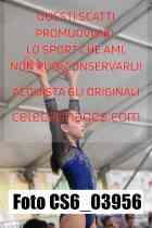 CS6_03956