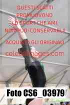 CS6_03979