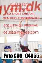 CS6_04055