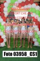 03958_CS1