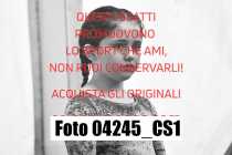 04245_CS1