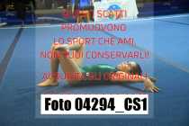04294_CS1