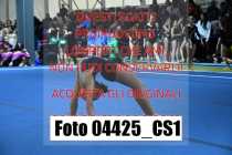 04425_CS1