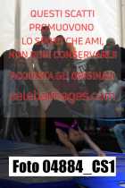 04884_CS1