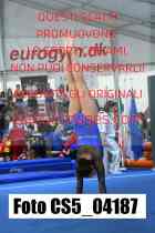 CS5_04187-
