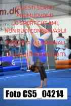CS5_04214-