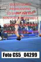 CS5_04299-