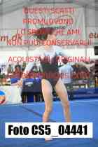 CS5_04441-