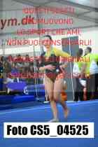 CS5_04525-