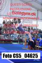 CS5_04625-
