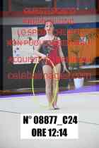 08877_C24