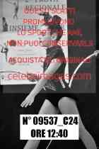 09537_C24