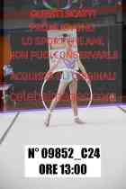09852_C24