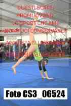 CS3_06524-
