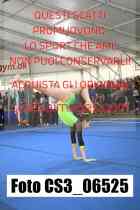 CS3_06525-