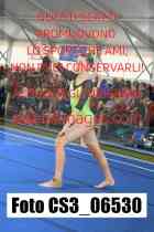 CS3_06530-