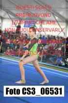 CS3_06531-