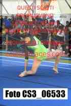 CS3_06533-