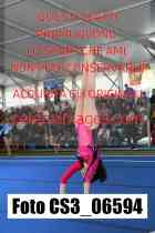 CS3_06594-