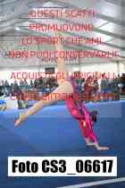 CS3_06617-