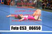 CS3_06650-