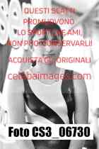 CS3_06730-
