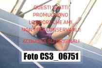 CS3_06751-