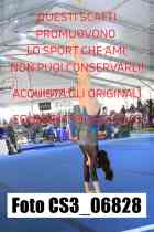 CS3_06828-