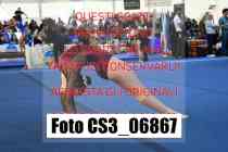 CS3_06867-