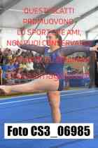 CS3_06985-
