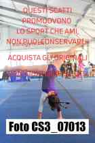 CS3_07013-