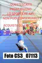 CS3_07113-