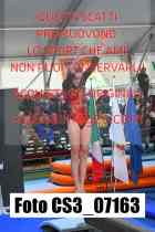 CS3_07163-