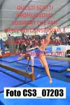 CS3_07203-