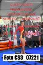 CS3_07221-