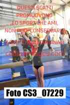 CS3_07229-