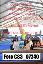 CS3_07240-