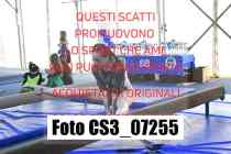 CS3_07255-
