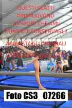 CS3_07266-